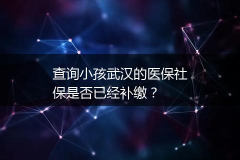 查询小孩武汉的医保社保是否已经补缴？