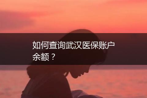 如何查询武汉医保账户余额？