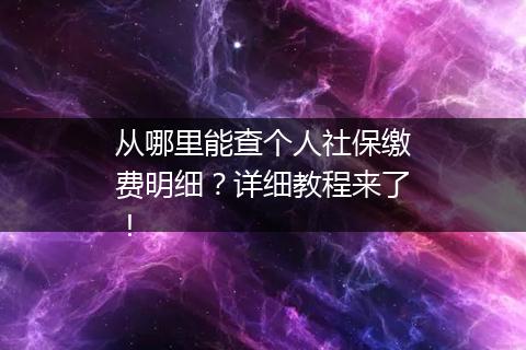 从哪里能查个人社保缴费明细？详细教程来了！