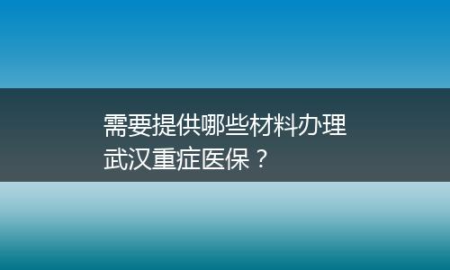 需要提供哪些材料办理武汉重症医保？