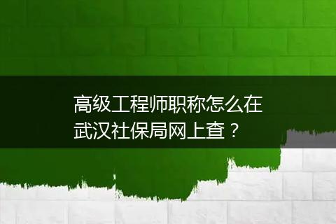 高级工程师职称怎么在武汉社保局网上查？