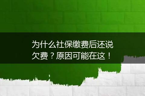 为什么社保缴费后还说欠费？原因可能在这！