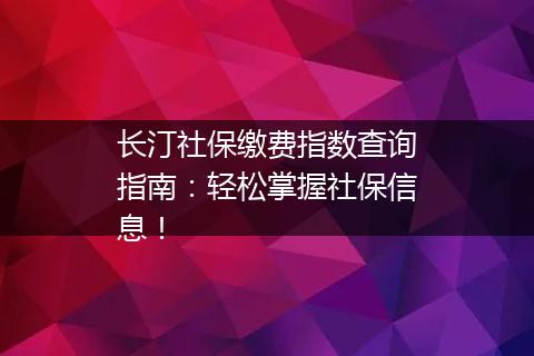 长汀社保缴费指数查询指南：轻松掌握社保信息！