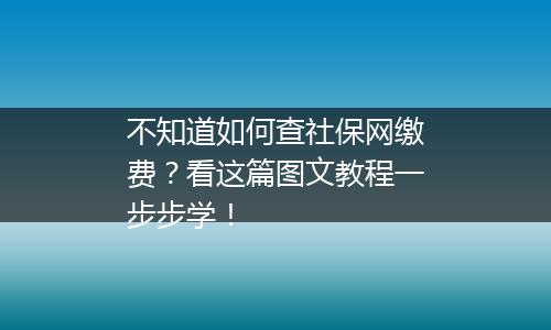 不知道如何查社保网缴费？看这篇图文教程一步步学！