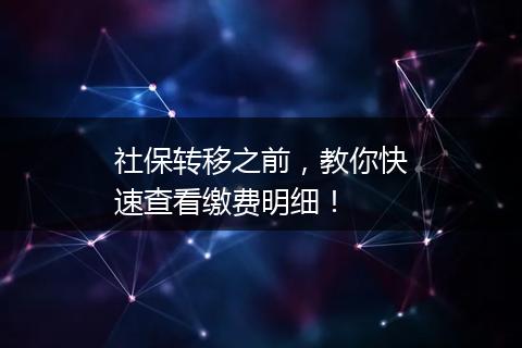 社保转移之前，教你快速查看缴费明细！