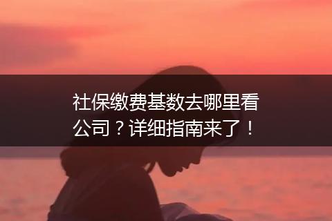 社保缴费基数去哪里看公司？详细指南来了！