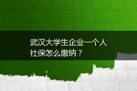 武汉大学生企业一个人社保怎么缴纳？