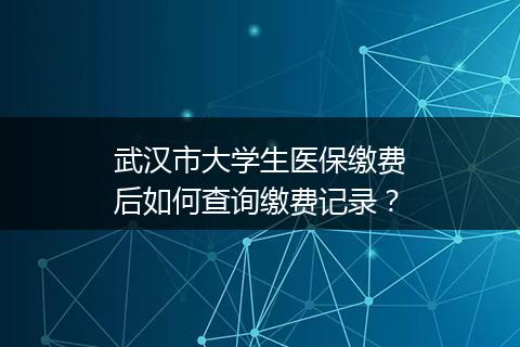 武汉市大学生医保缴费后如何查询缴费记录？