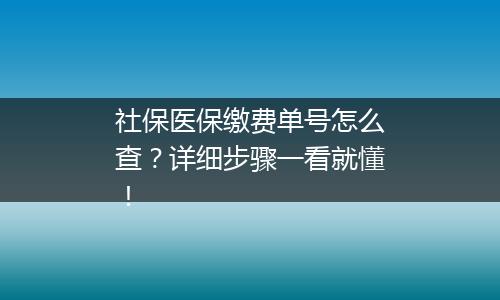 社保医保缴费单号怎么查？详细步骤一看就懂！