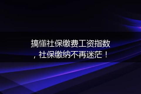 搞懂社保缴费工资指数，社保缴纳不再迷茫！