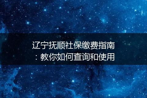 辽宁抚顺社保缴费指南：教你如何查询和使用