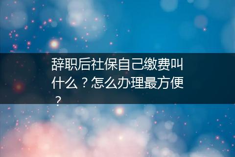 辞职后社保自己缴费叫什么？怎么办理最方便？