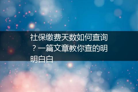 社保缴费天数如何查询？一篇文章教你查的明明白白
