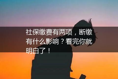 社保缴费有两项，断缴有什么影响？看完你就明白了！