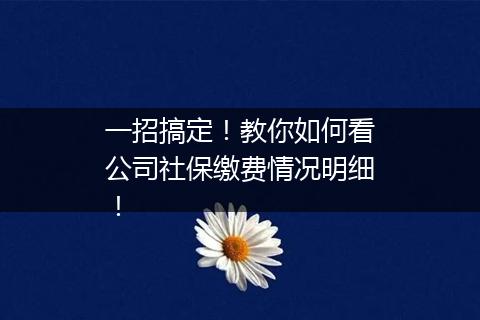 一招搞定！教你如何看公司社保缴费情况明细！