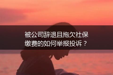 被公司辞退且拖欠社保缴费的如何举报投诉？