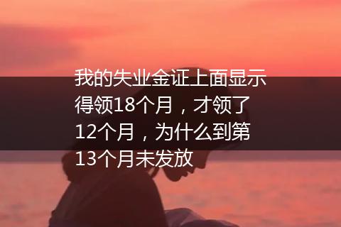 我的失业金证上面显示得领18个月，才领了12个月，为什么到第13个月未发放