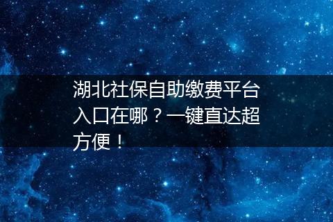 湖北社保自助缴费平台入口在哪？一键直达超方便！