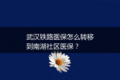 武汉铁路医保怎么转移到南湖社区医保？