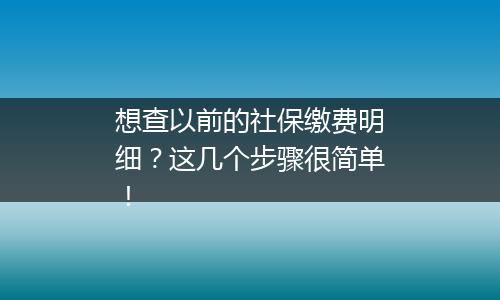 想查以前的社保缴费明细？这几个步骤很简单！