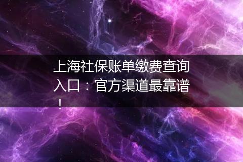 上海社保账单缴费查询入口：官方渠道最靠谱！