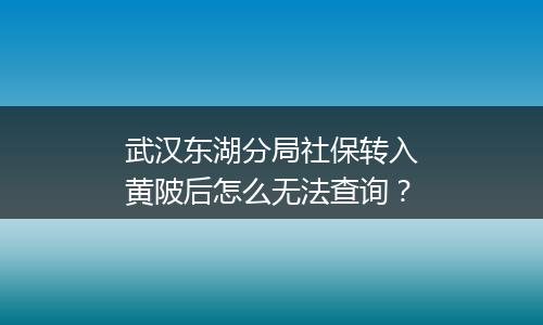 武汉东湖分局社保转入黄陂后怎么无法查询？