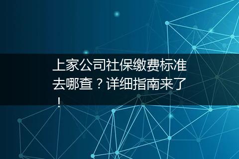 上家公司社保缴费标准去哪查？详细指南来了！