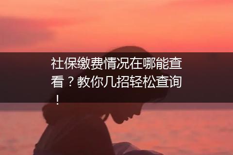 社保缴费情况在哪能查看？教你几招轻松查询！