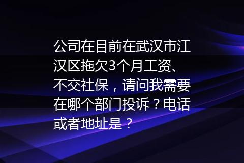 公司在目前在武汉市江汉区拖欠3个月工资、不交社保，请问我需要在哪个部门投诉？电话或者地址是？