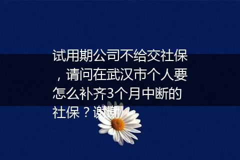 试用期公司不给交社保，请问在武汉市个人要怎么补齐3个月中断的社保？谢谢