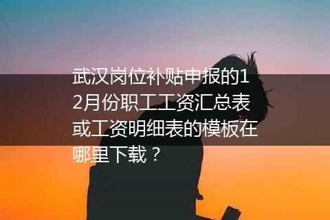 武汉岗位补贴申报的12月份职工工资汇总表或工资明细表的模板在哪里下载？