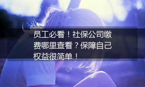 员工必看！社保公司缴费哪里查看？保障自己权益很简单！
