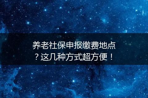 养老社保申报缴费地点？这几种方式超方便！