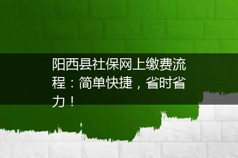 阳西县社保网上缴费流程：简单快捷，省时省力！