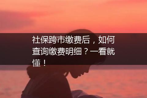 社保跨市缴费后，如何查询缴费明细？一看就懂！