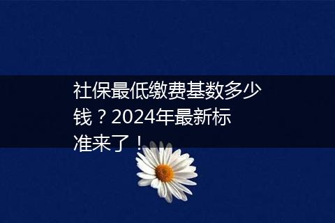 社保最低缴费基数多少钱？2024年最新标准来了！