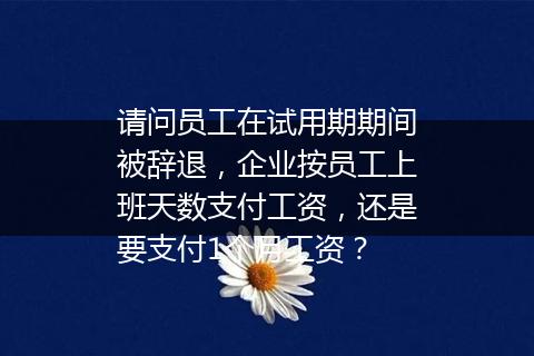 请问员工在试用期期间被辞退，企业按员工上班天数支付工资，还是要支付1个月工资？