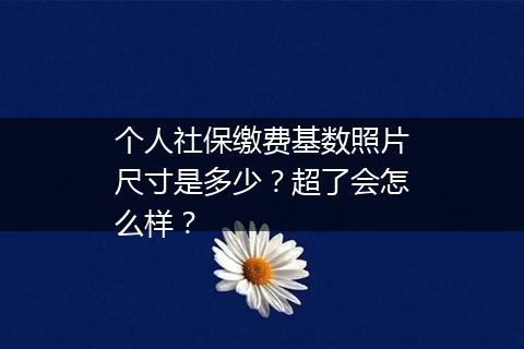 个人社保缴费基数照片尺寸是多少？超了会怎么样？
