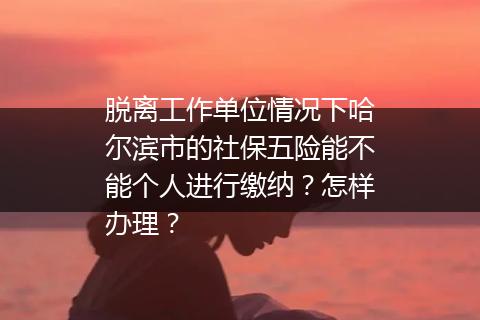 脱离工作单位情况下哈尔滨市的社保五险能不能个人进行缴纳？怎样办理？