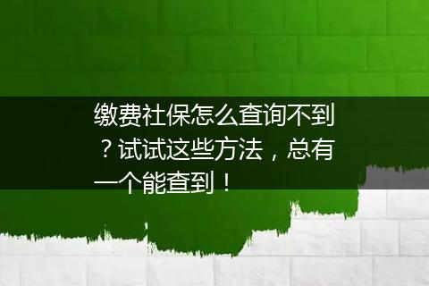 缴费社保怎么查询不到？试试这些方法，总有一个能查到！