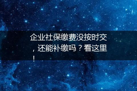 企业社保缴费没按时交，还能补缴吗？看这里！