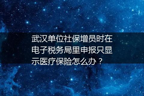武汉单位社保增员时在电子税务局里申报只显示医疗保险怎么办？