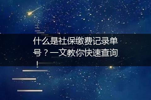 什么是社保缴费记录单号？一文教你快速查询！