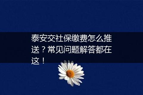 泰安交社保缴费怎么推送？常见问题解答都在这！