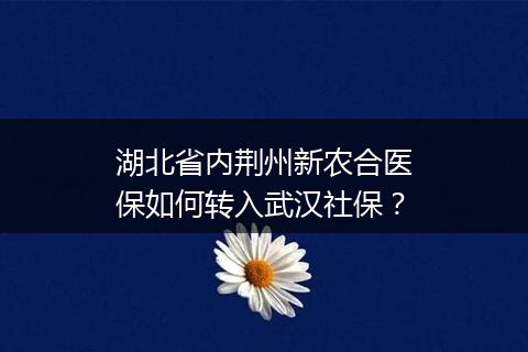 湖北省内荆州新农合医保如何转入武汉社保？
