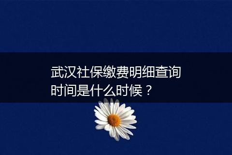 武汉社保缴费明细查询时间是什么时候？