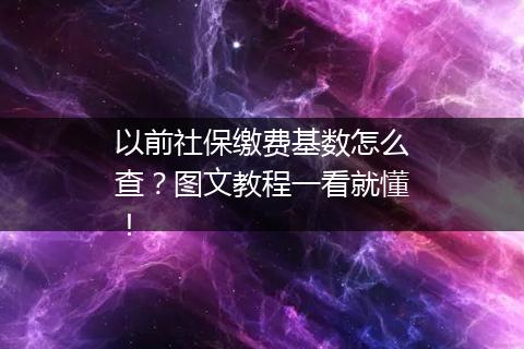以前社保缴费基数怎么查？图文教程一看就懂！