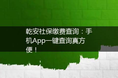 乾安社保缴费查询：手机App一键查询真方便！