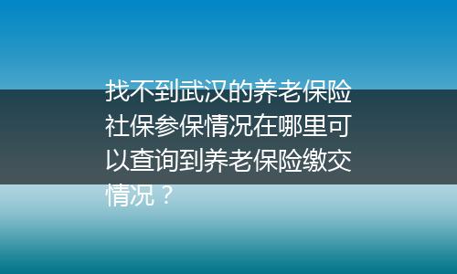 找不到武汉的养老保险社保参保情况在哪里可以查询到养老保险缴交情况？