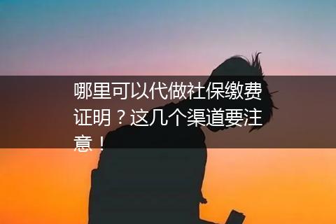 哪里可以代做社保缴费证明？这几个渠道要注意！